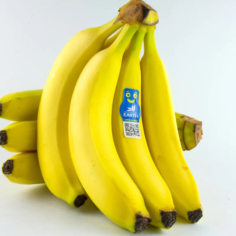 Banano Importado (Kilo)